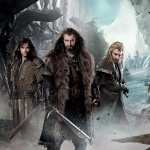 The Hobbit The Desolation Of Smaug wallpapers hd