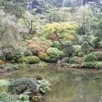 Japanese Garden pic
