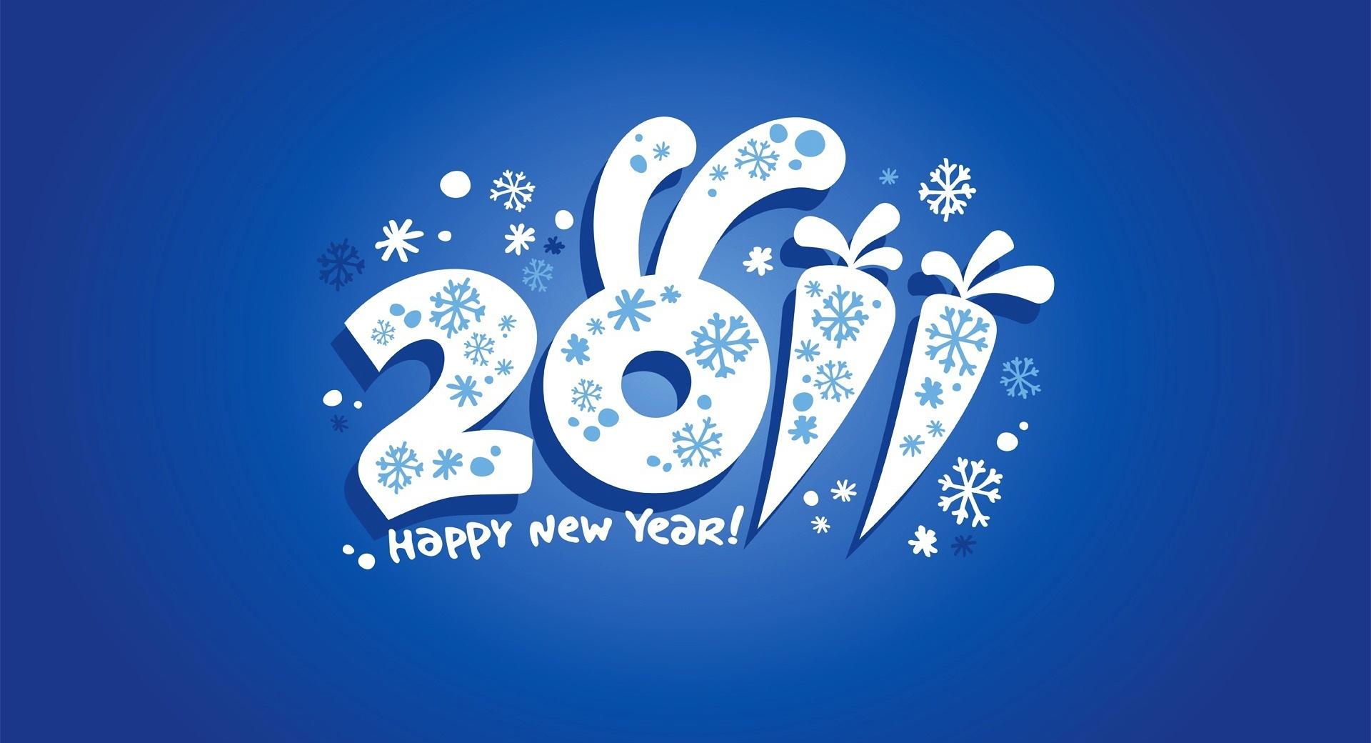 2011 Happy New Year at 640 x 1136 iPhone 5 size wallpapers HD quality