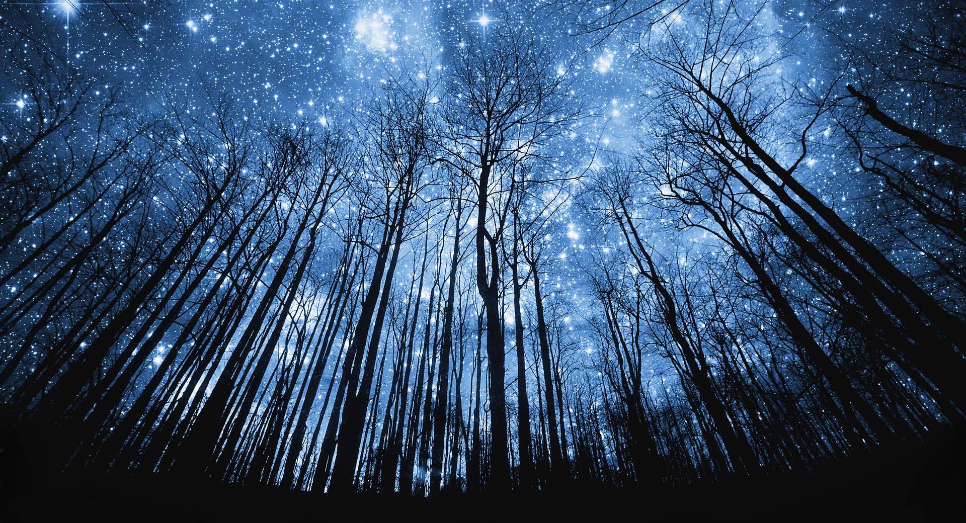 A Forest Of Stars at 1280 x 960 size wallpapers HD quality