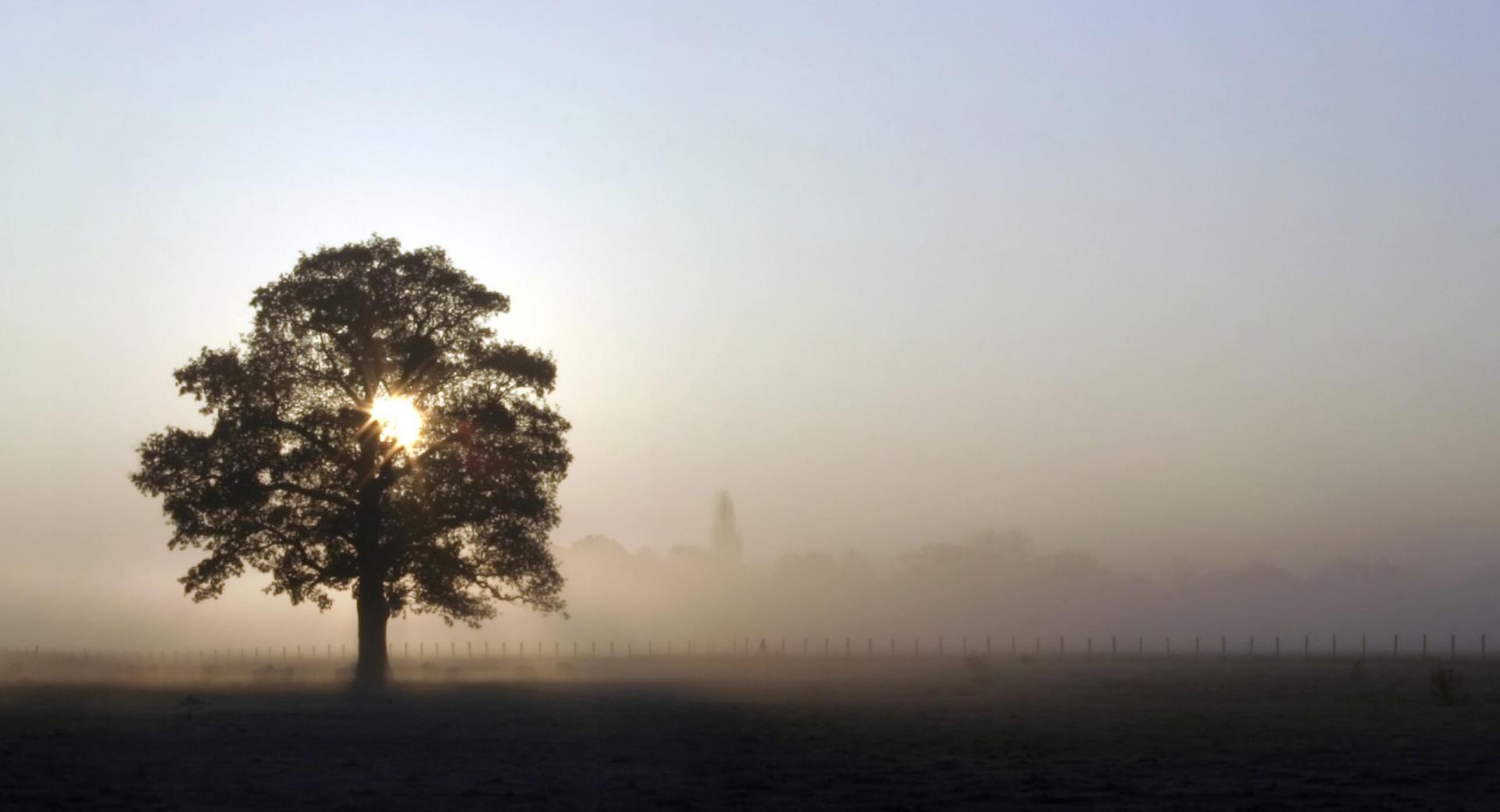 Airfield Sunrise at 640 x 1136 iPhone 5 size wallpapers HD quality