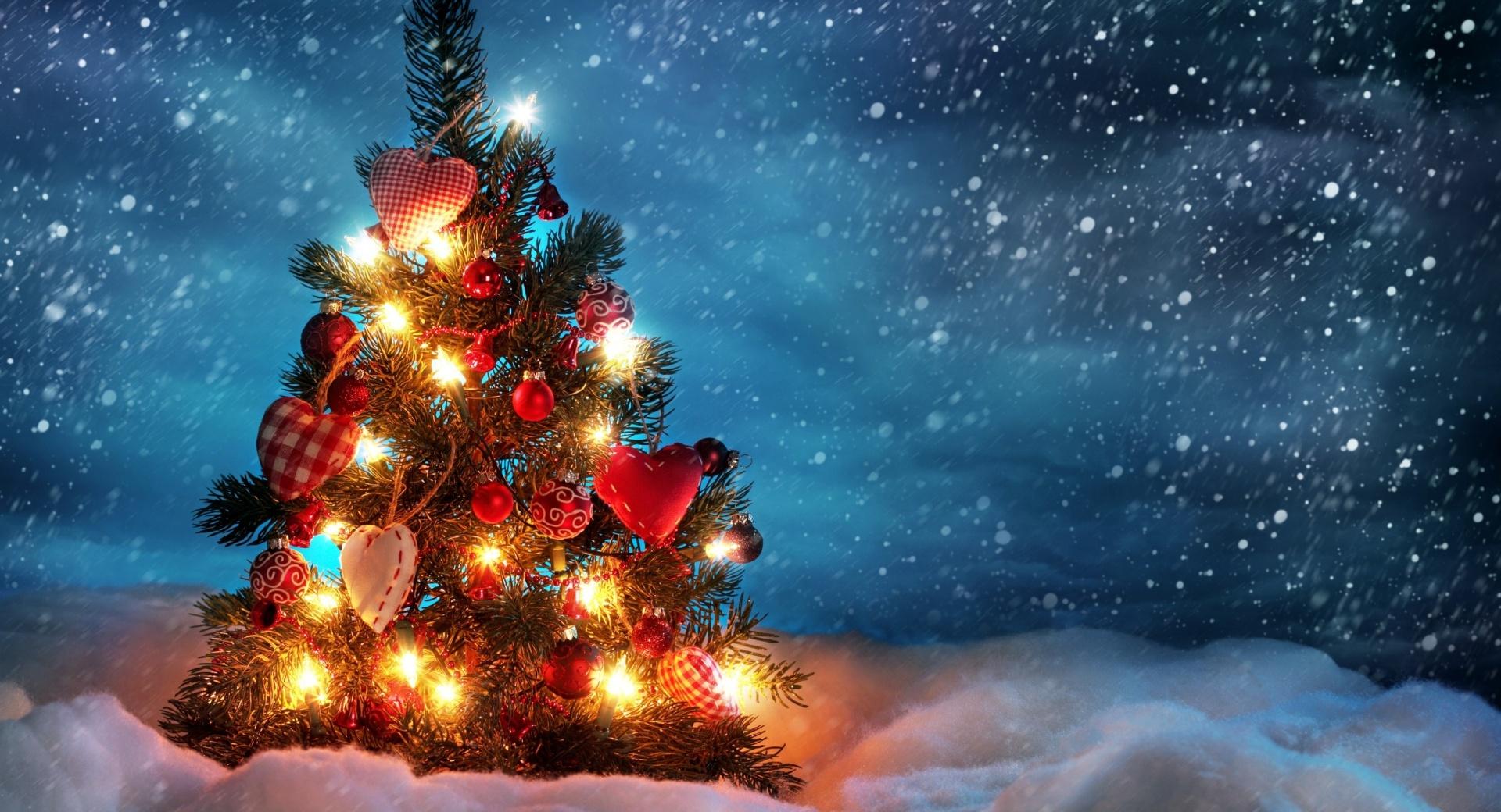 CHRISTMAS - TREE at 1024 x 1024 iPad size wallpapers HD quality