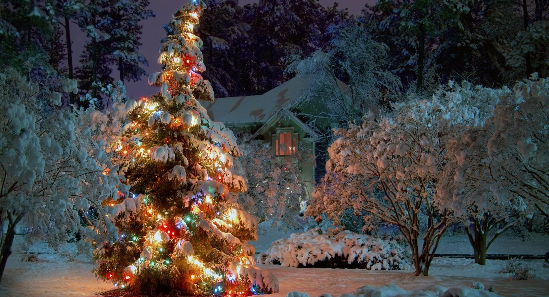 Christmas At Night at 750 x 1334 iPhone 6 size wallpapers HD quality