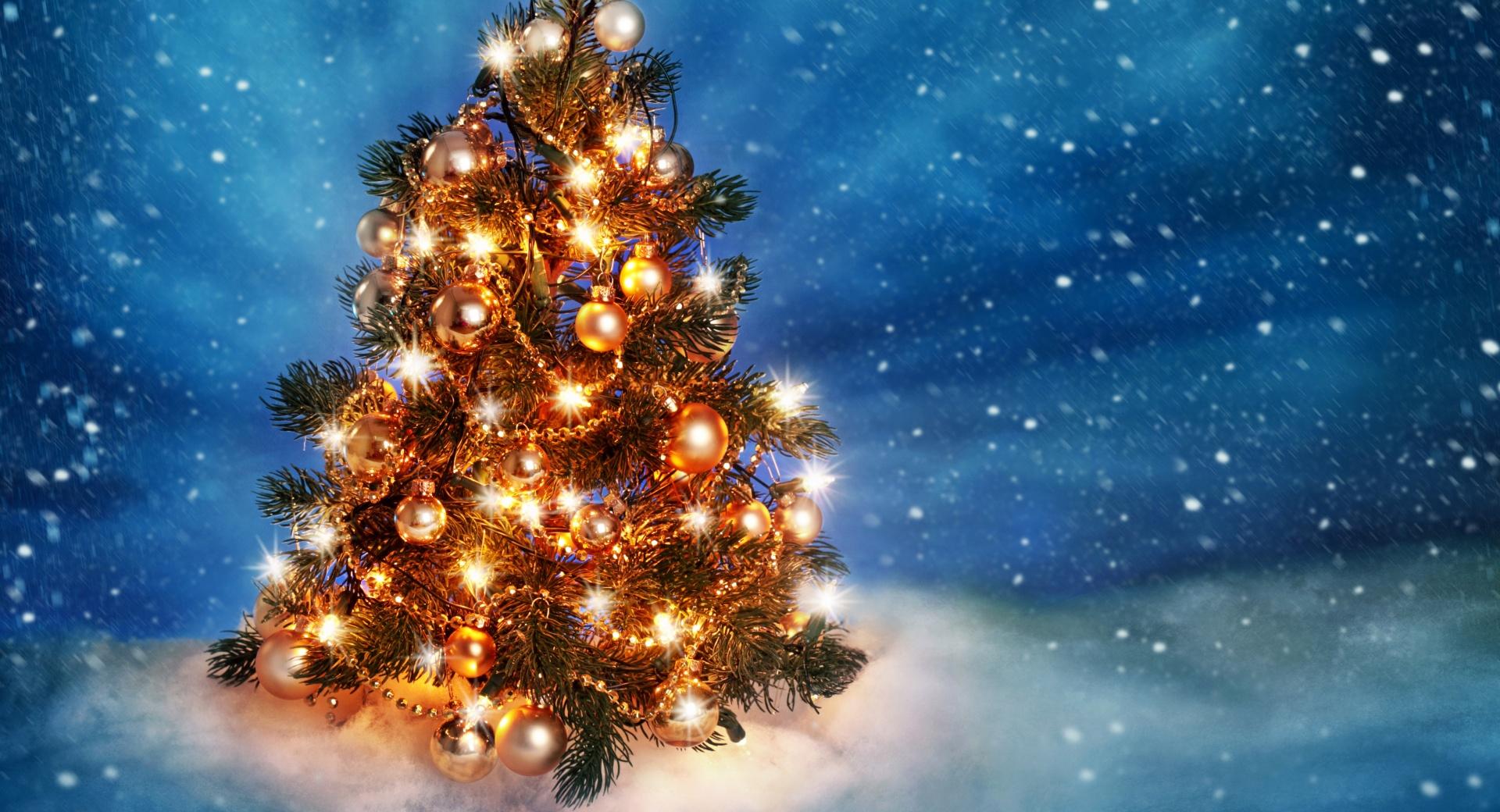 Christmas Tree 2015 at 1152 x 864 size wallpapers HD quality