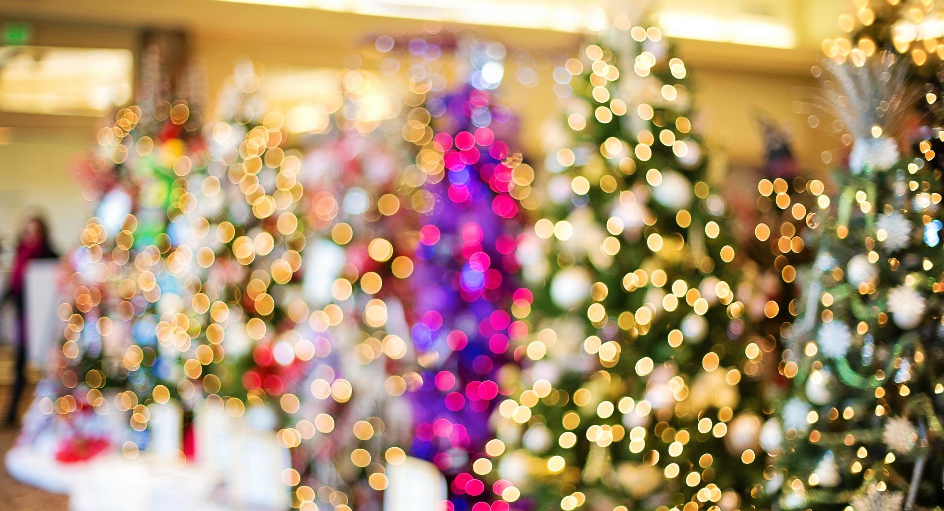 Christmas Trees Bokeh at 2048 x 2048 iPad size wallpapers HD quality