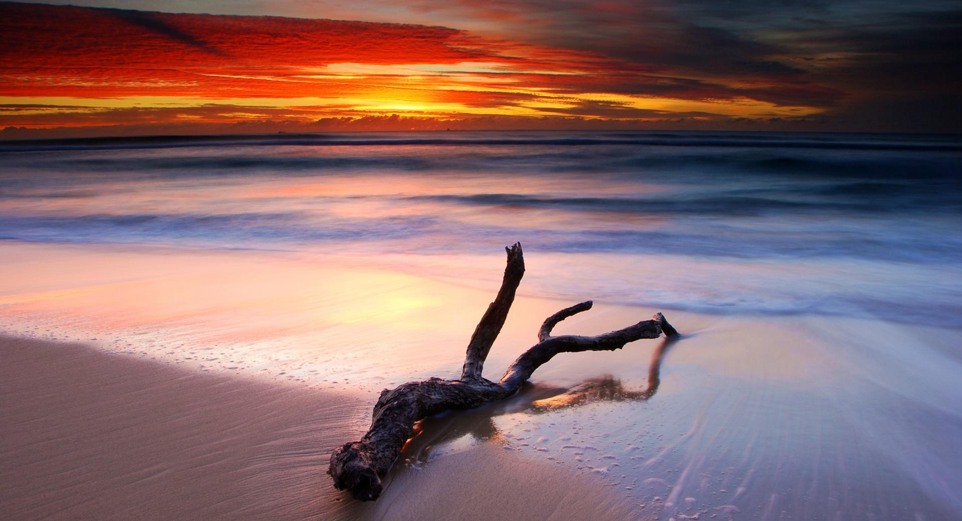 Driftwood And Spectacular Sunset at 640 x 960 iPhone 4 size wallpapers HD quality