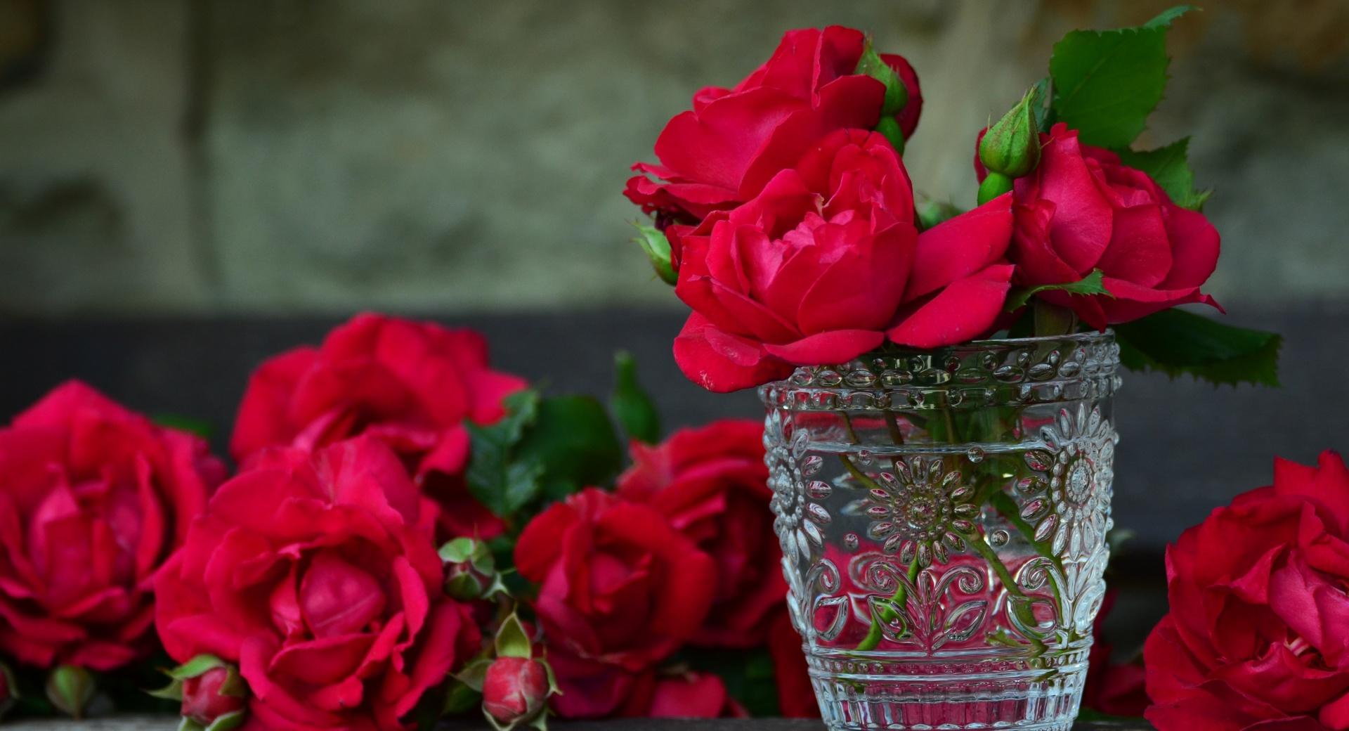 Fresh Red Roses in a Vase at 640 x 1136 iPhone 5 size wallpapers HD quality