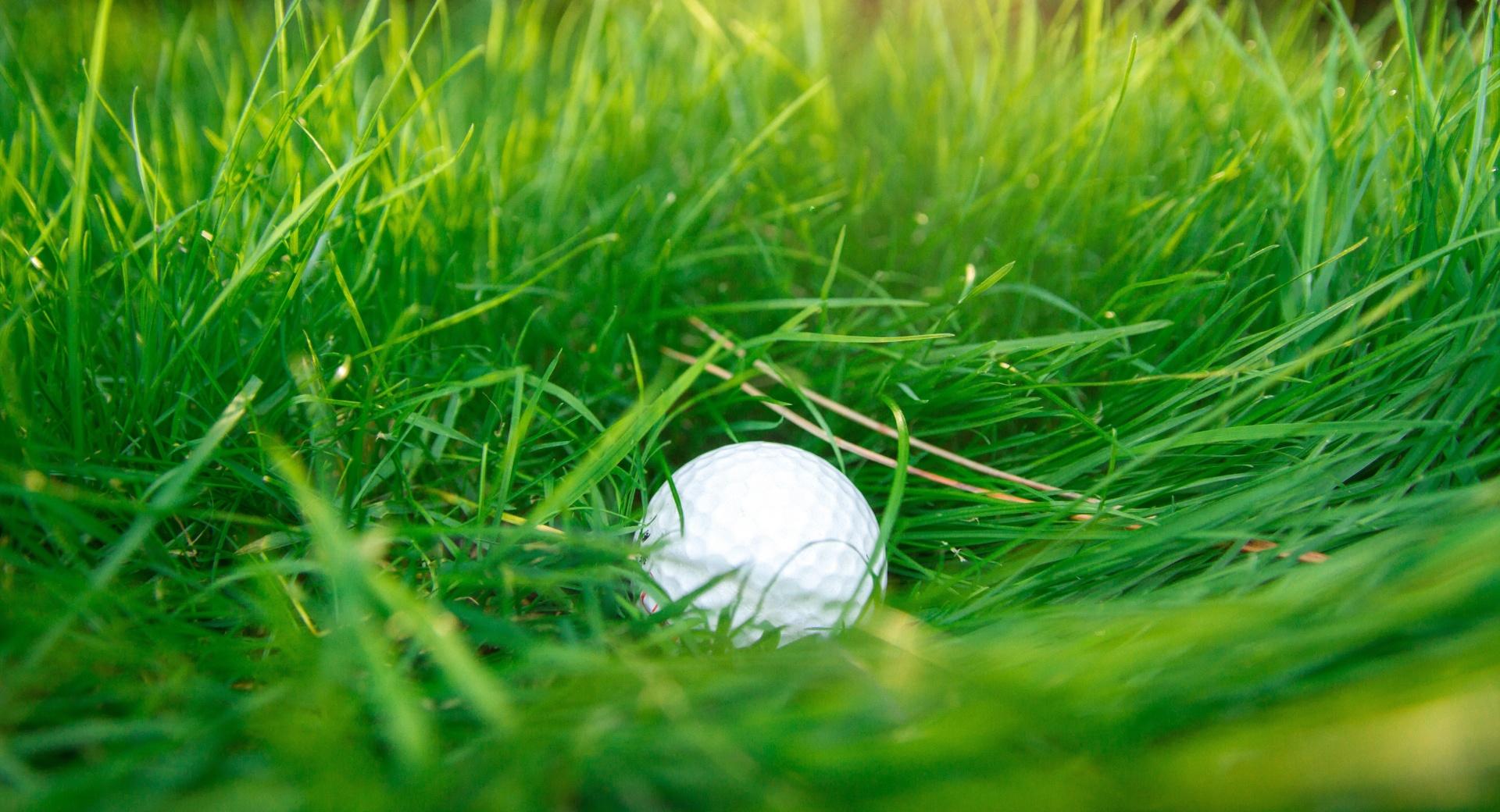 Golf Ball, Green Grass at 640 x 1136 iPhone 5 size wallpapers HD quality