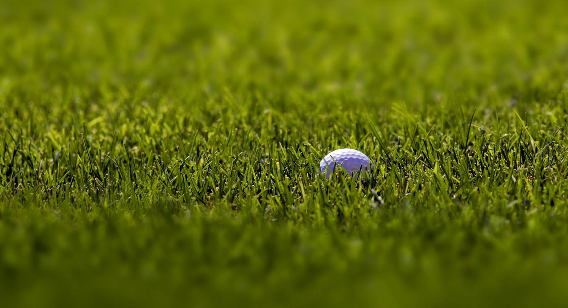 Golf Ball Macro at 1024 x 1024 iPad size wallpapers HD quality