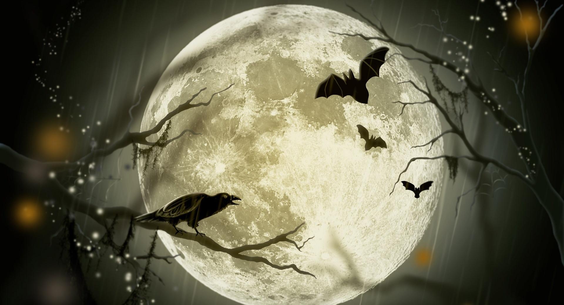 Halloween Moon at 1024 x 1024 iPad size wallpapers HD quality