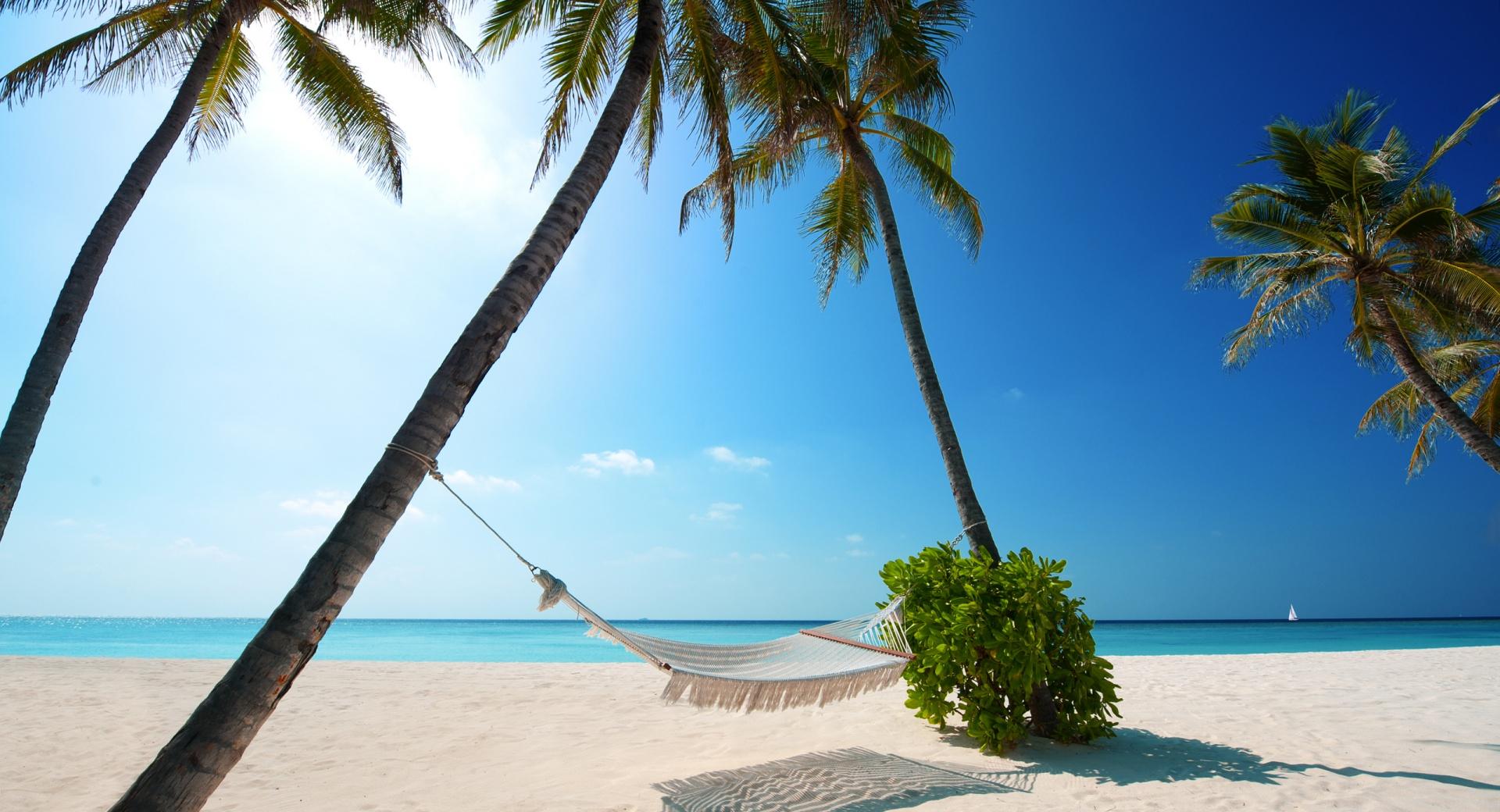 Hammock On Tropical Beach at 640 x 1136 iPhone 5 size wallpapers HD quality