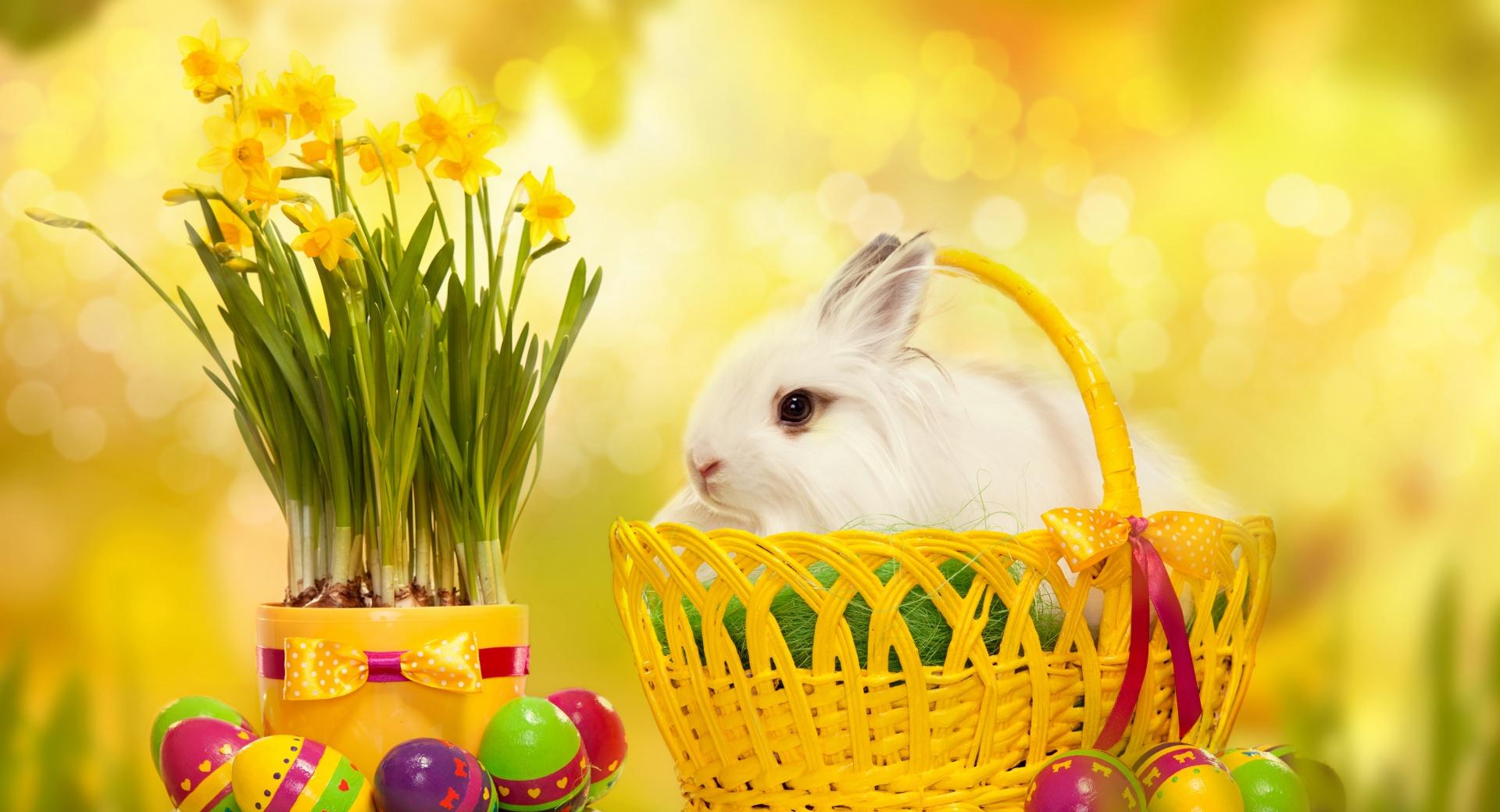 Happy Easter Bunny at 640 x 960 iPhone 4 size wallpapers HD quality