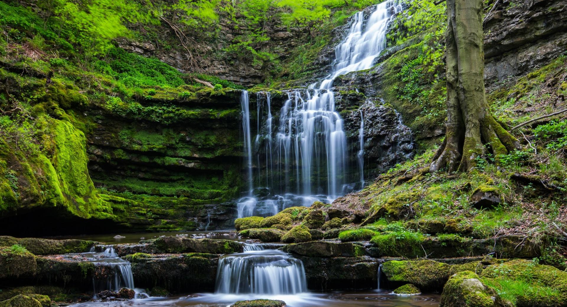 Moss Waterfall Rocks at 640 x 1136 iPhone 5 size wallpapers HD quality
