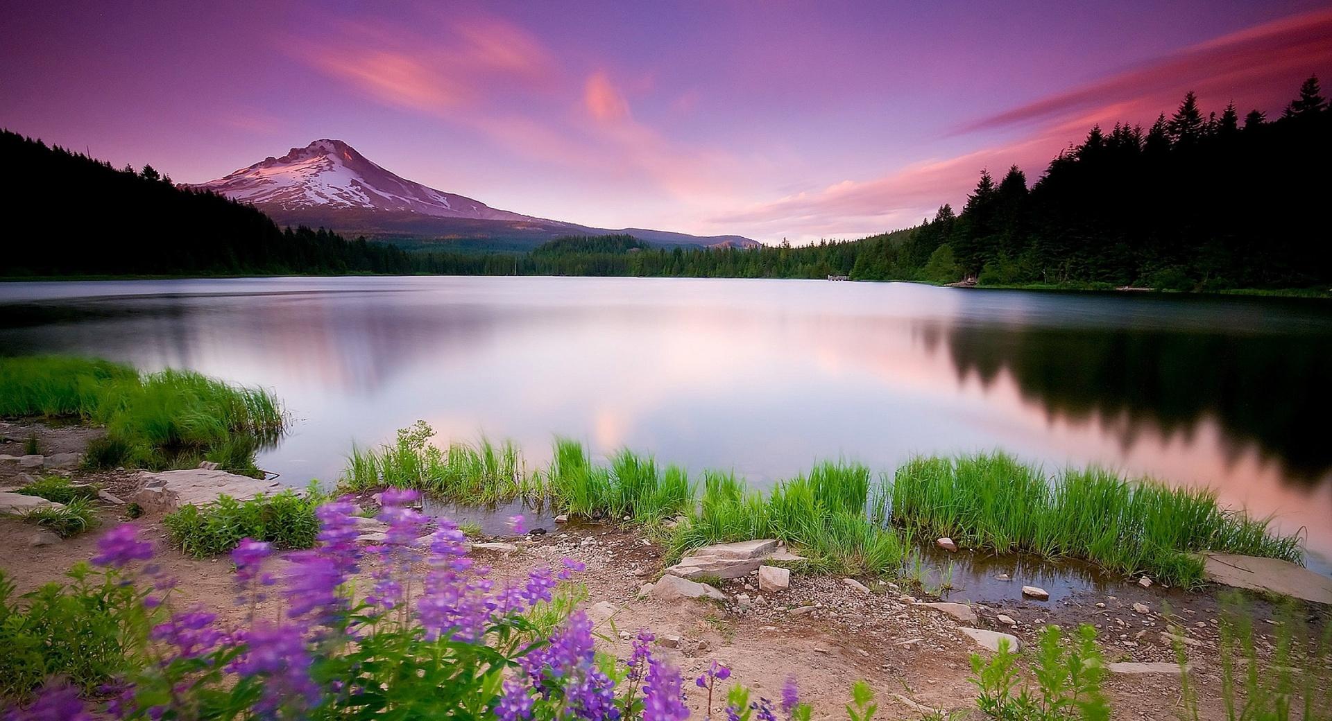 Mountain Lake And Flowers at 1600 x 1200 size wallpapers HD quality