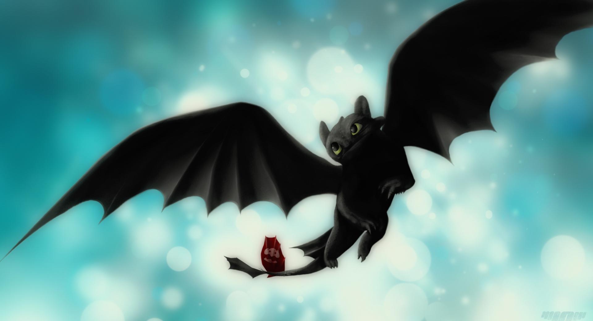 Night Fury Toothless wallpapers HD quality