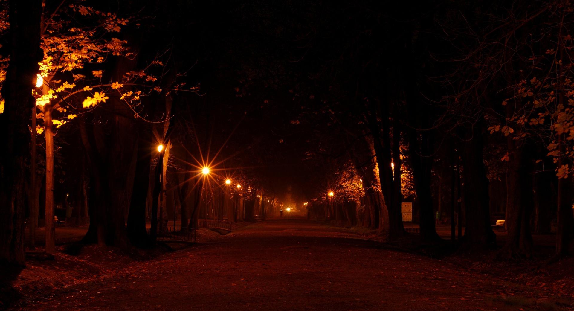 Park At Night at 1024 x 1024 iPad size wallpapers HD quality