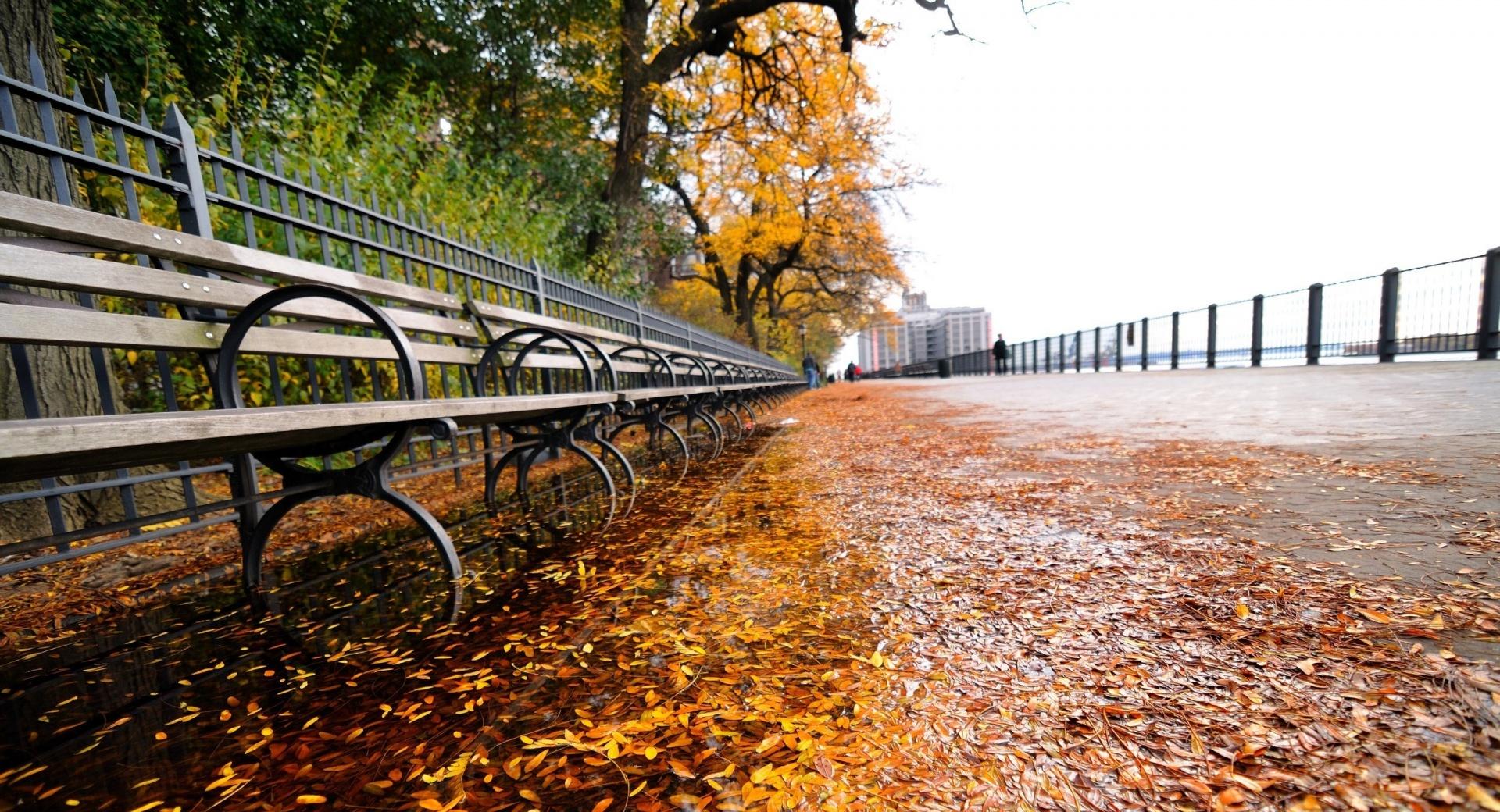 Row of Benches, Autumn wallpapers HD quality