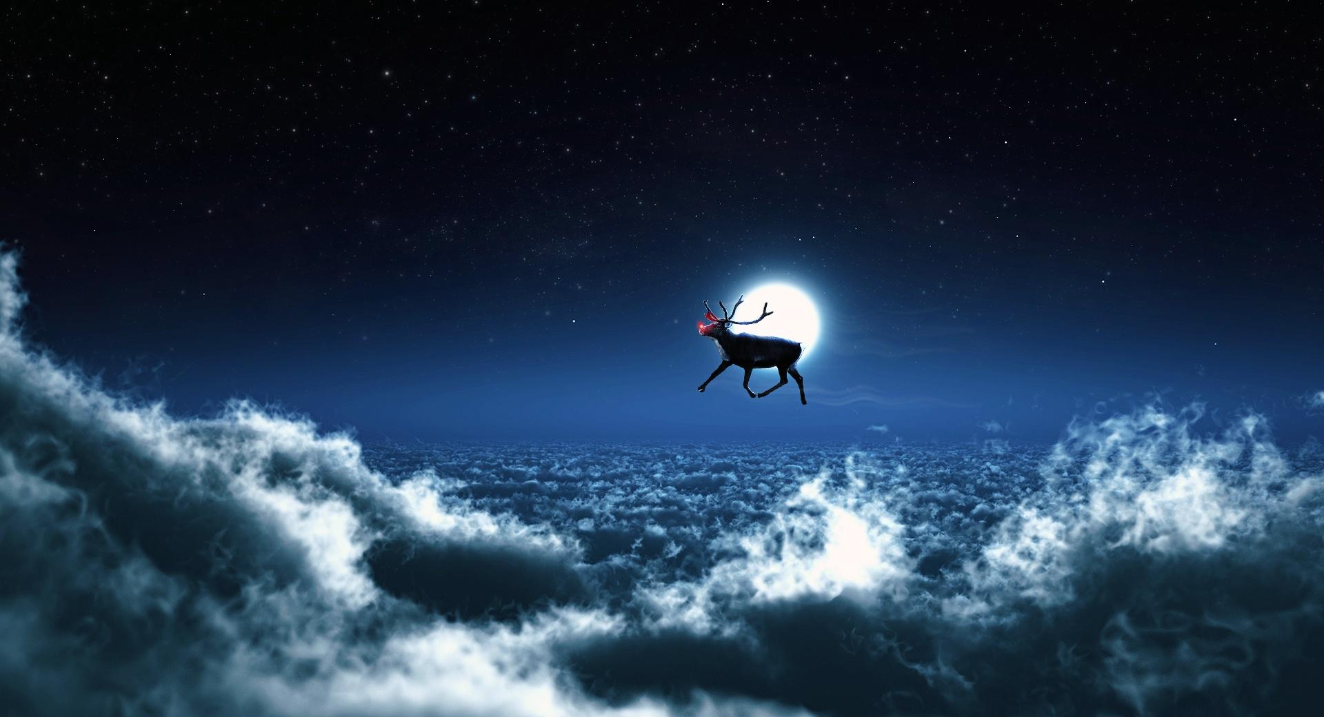 Rudolph Flies Solo at 1024 x 1024 iPad size wallpapers HD quality