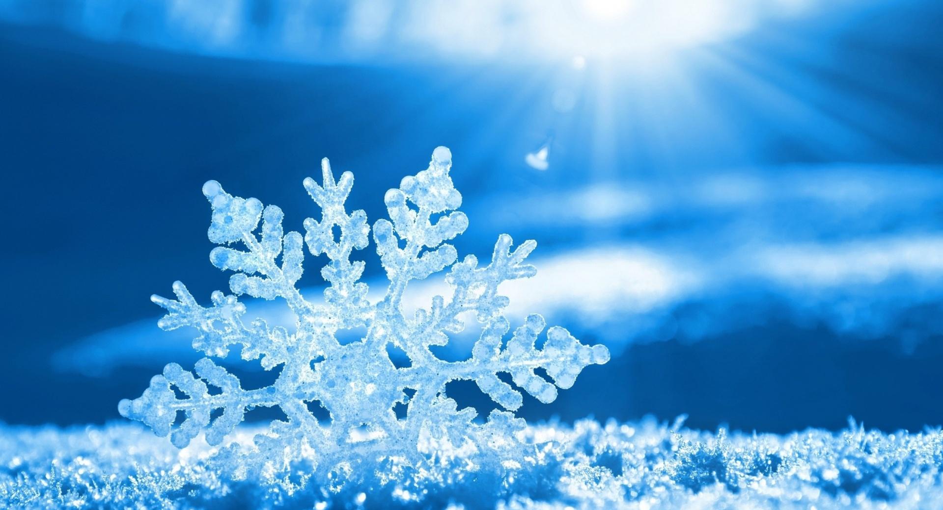 Snow Flake at 1600 x 1200 size wallpapers HD quality