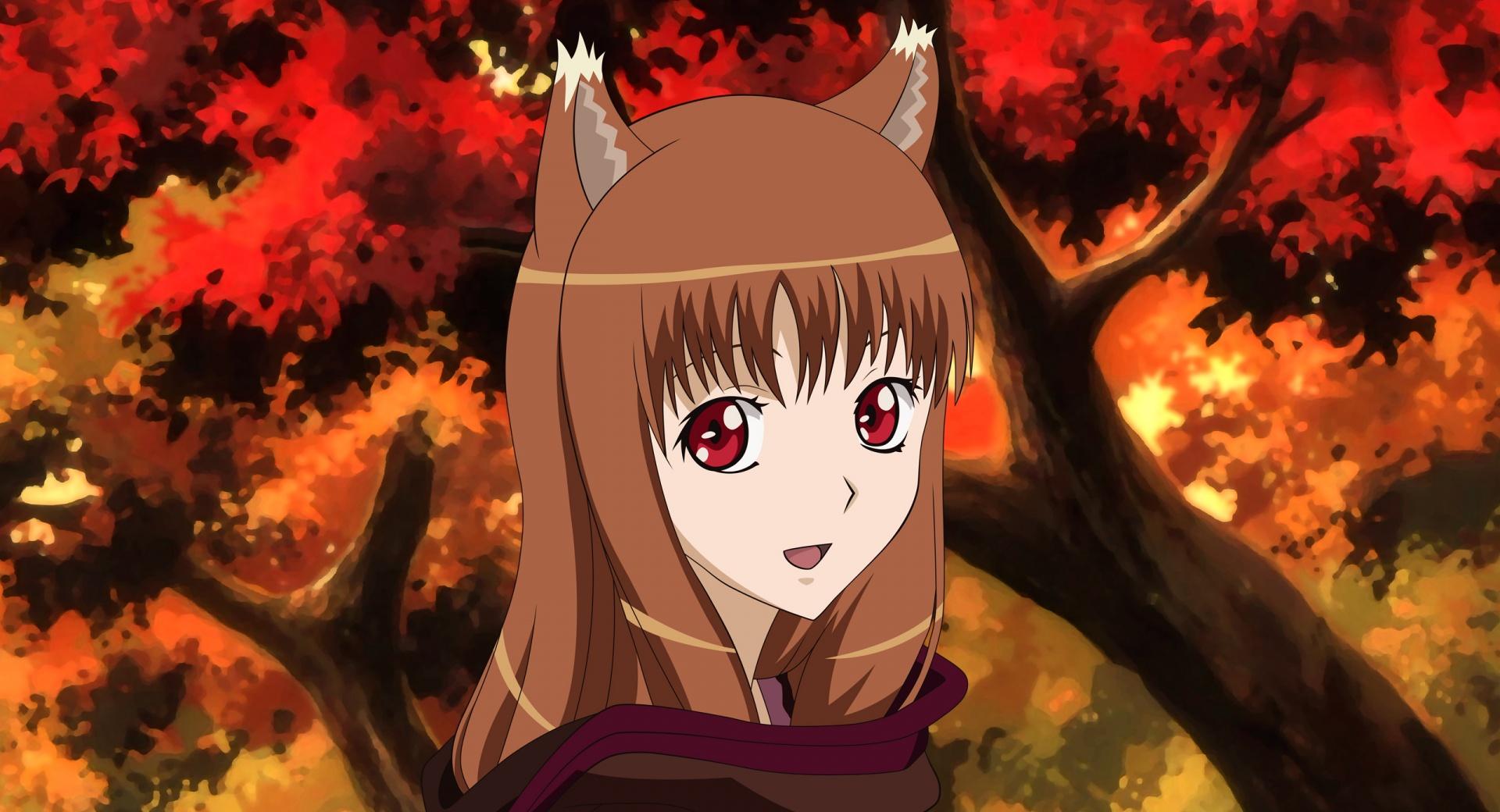 Spice And Wolf, Horo at 1024 x 768 size wallpapers HD quality