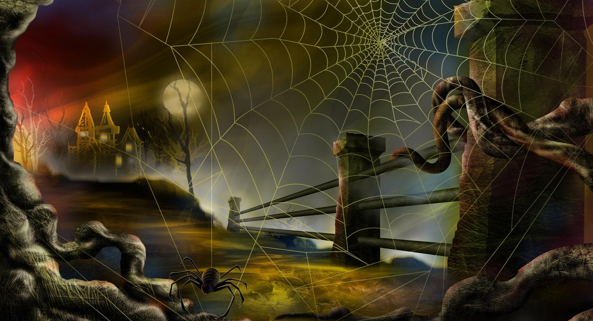 Spider Web Hallowmas Halloween at 1600 x 1200 size wallpapers HD quality