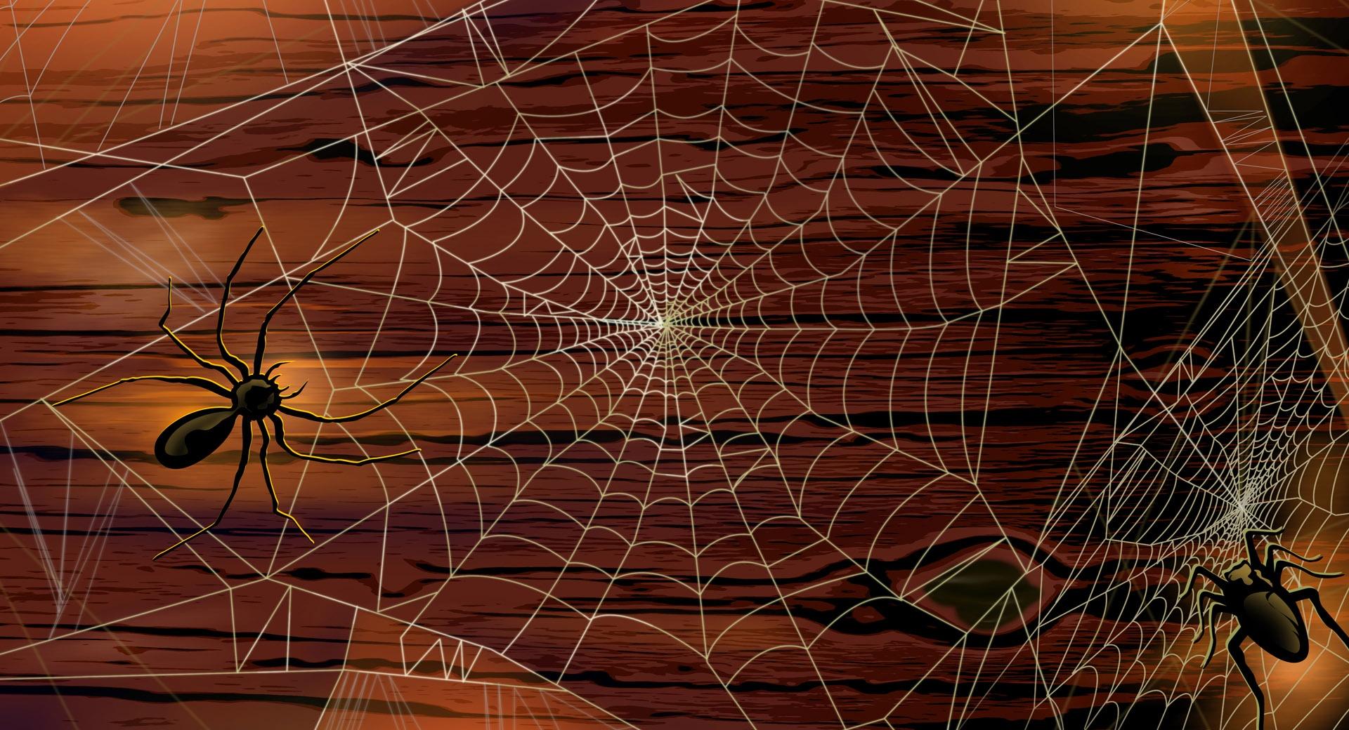 Spider Webs Hallowmas Halloween at 320 x 480 iPhone size wallpapers HD quality