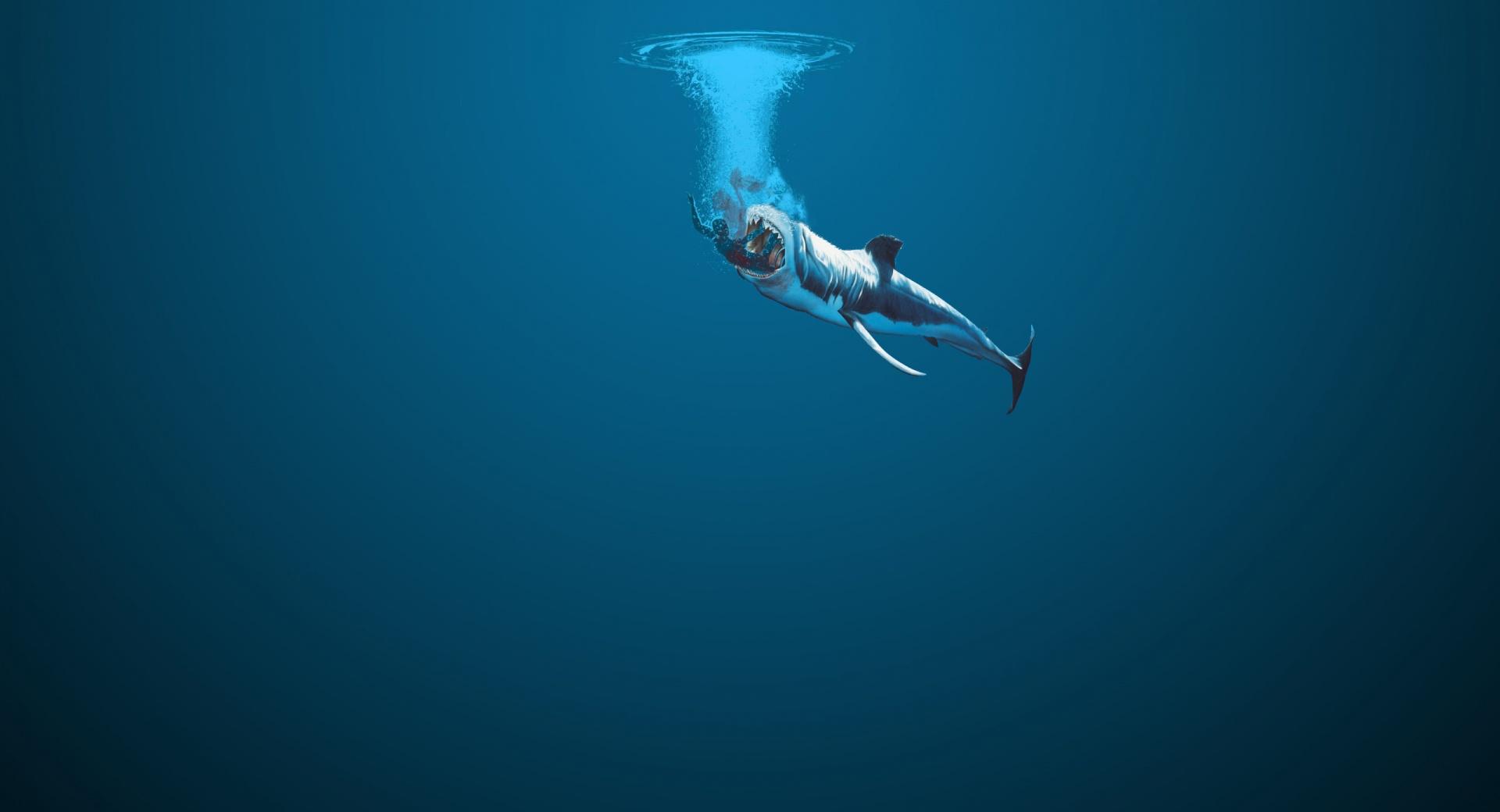 Swallowed By A Whale at 320 x 480 iPhone size wallpapers HD quality