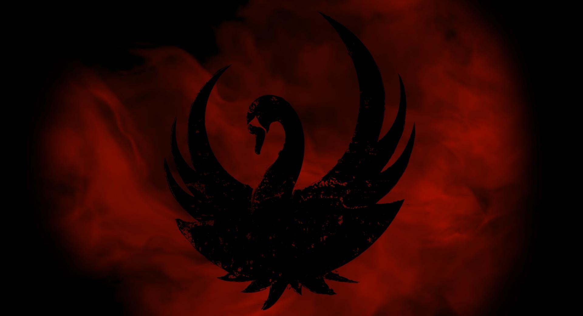 The Black Swan at 320 x 480 iPhone size wallpapers HD quality