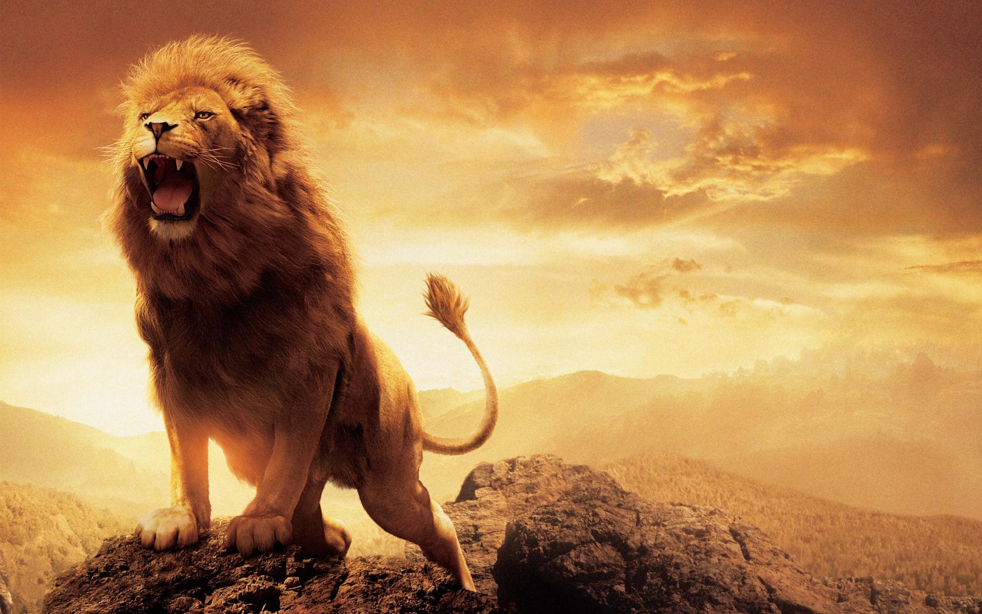 The Chronicles Of Narnia The Lion, The Witch And The Wardrobe at 2048 x 2048 iPad size wallpapers HD quality