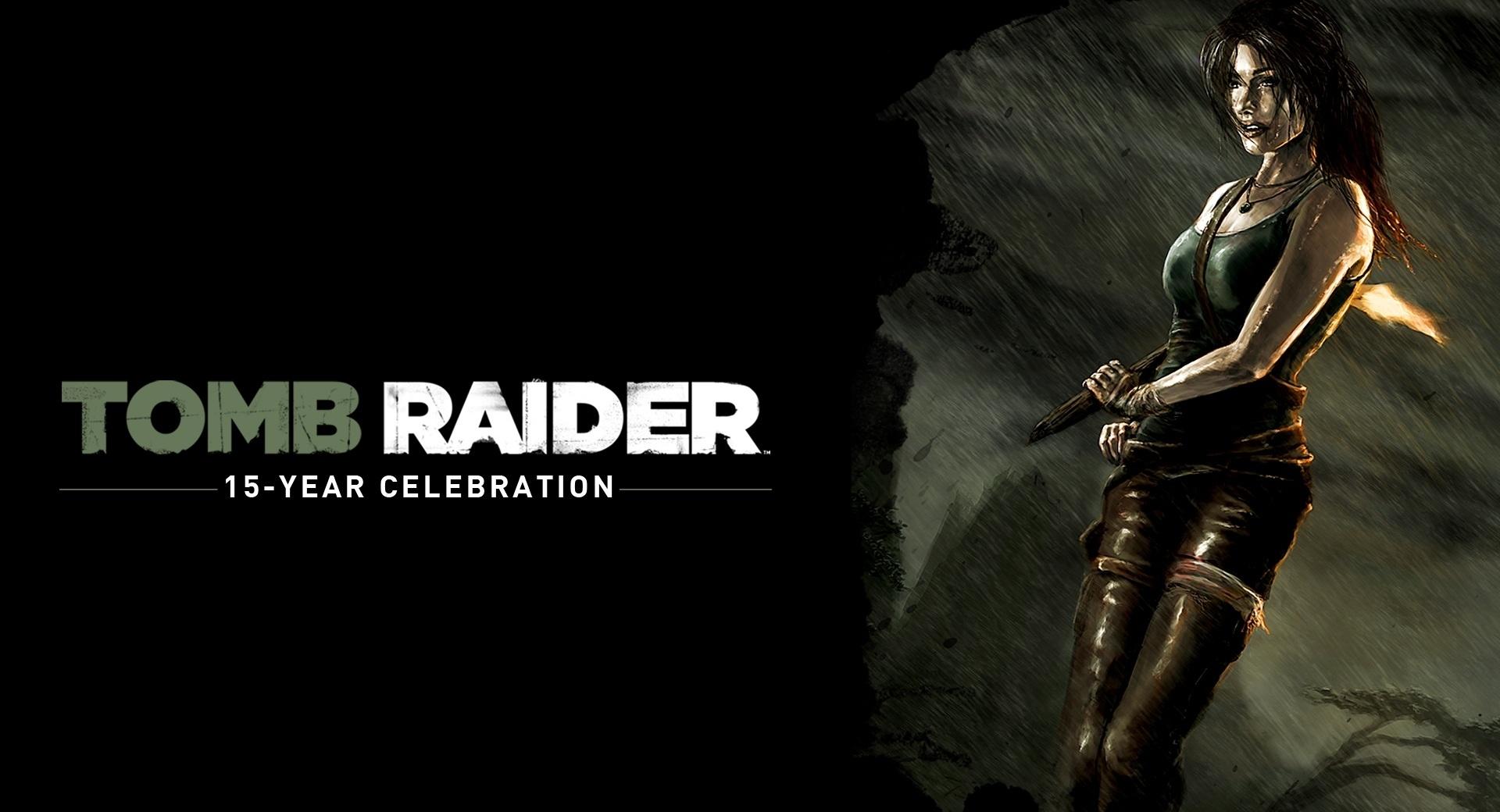 Tomb Raider Against The Elements wallpapers HD quality