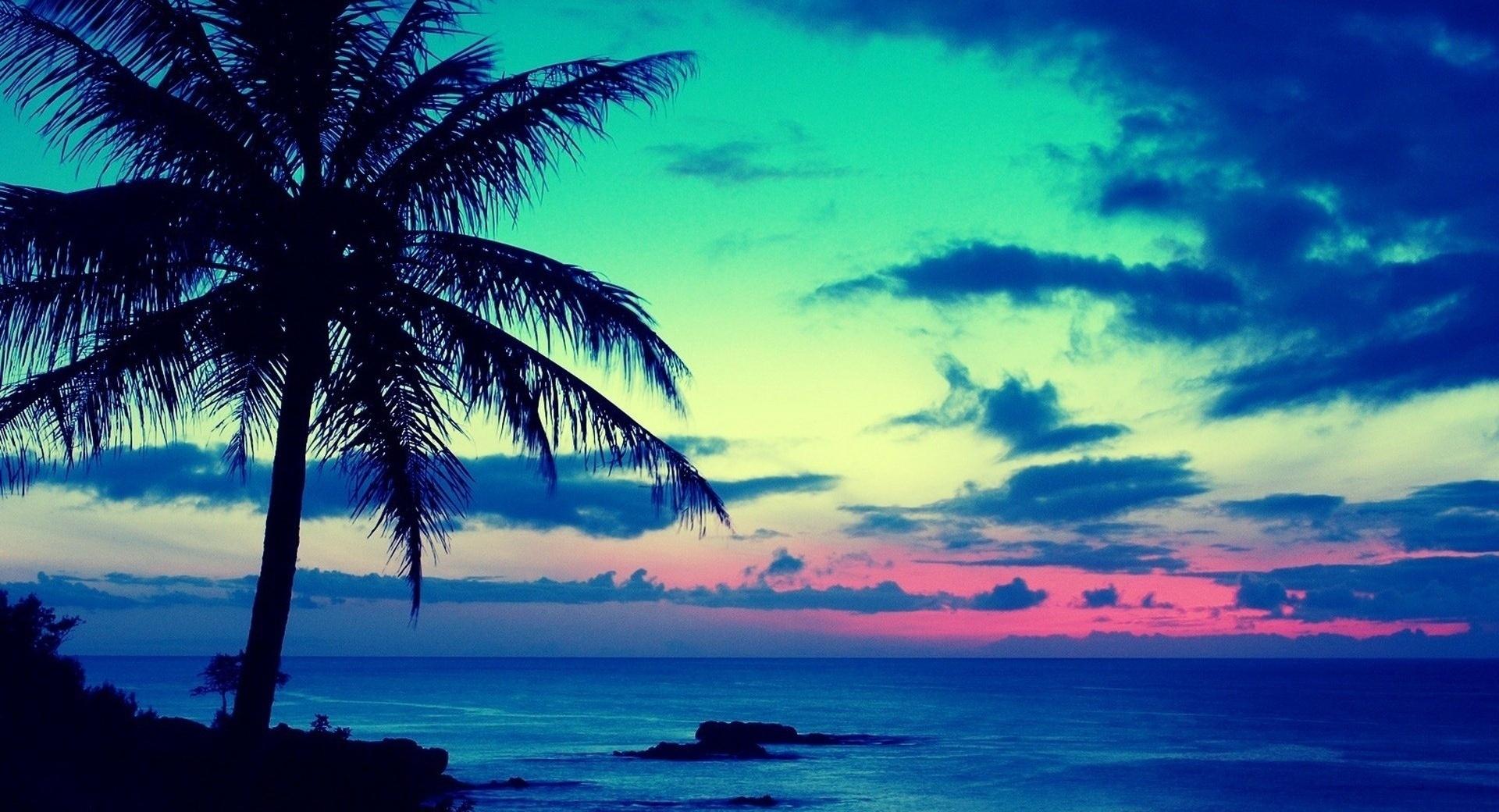 Tropical Sunrise wallpapers HD quality