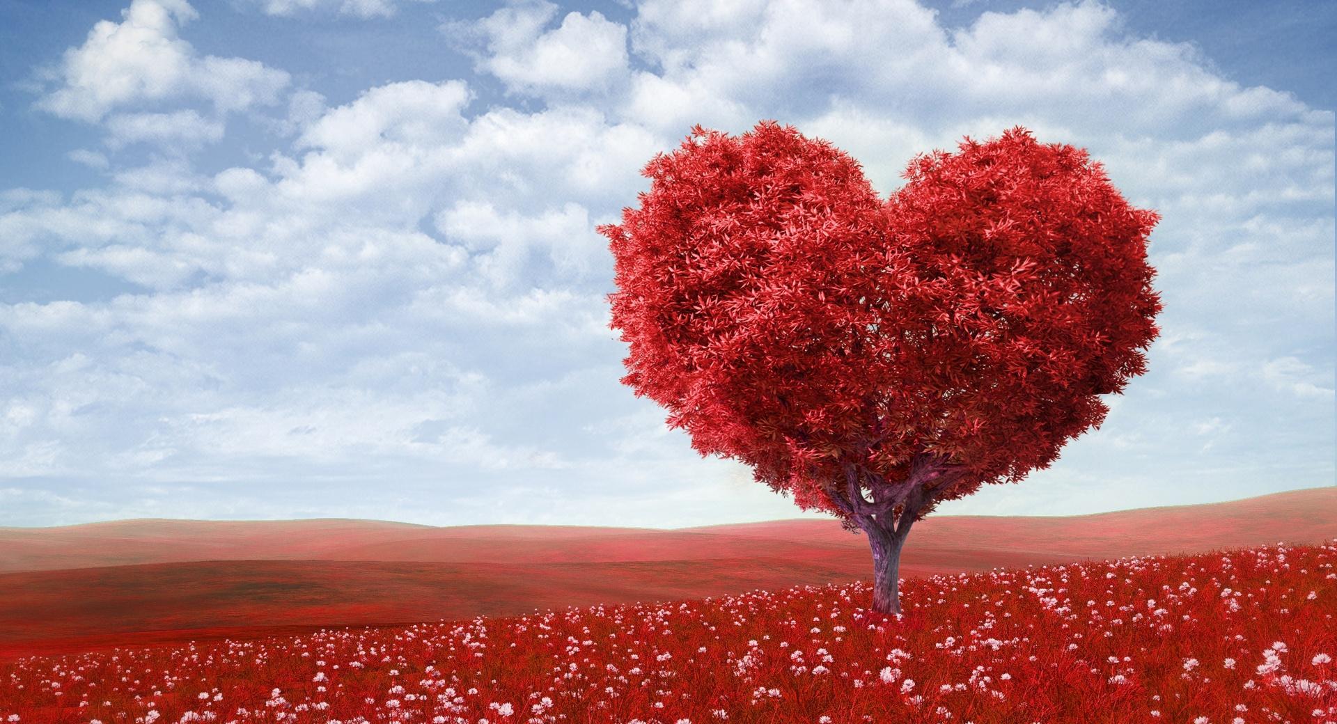 Valentines Day 2014 wallpapers HD quality