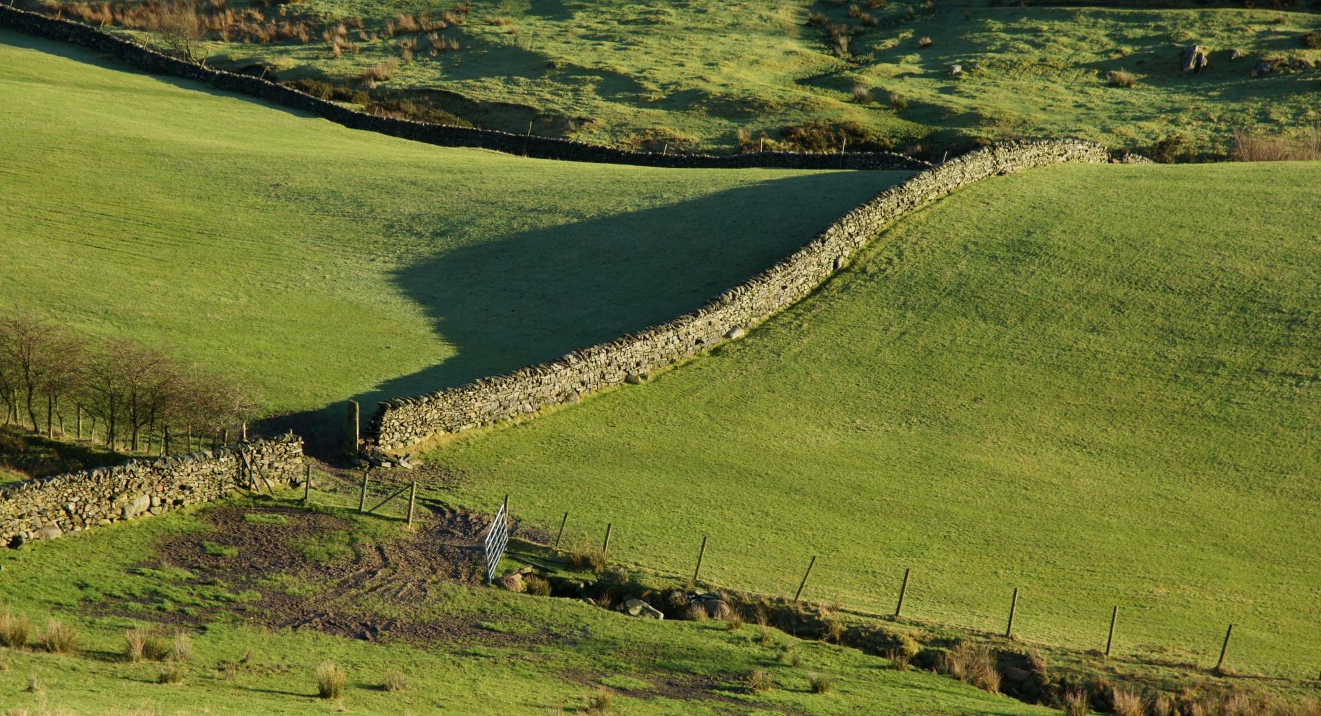 Walls, Green Fields And Morning Shadows at 640 x 1136 iPhone 5 size wallpapers HD quality