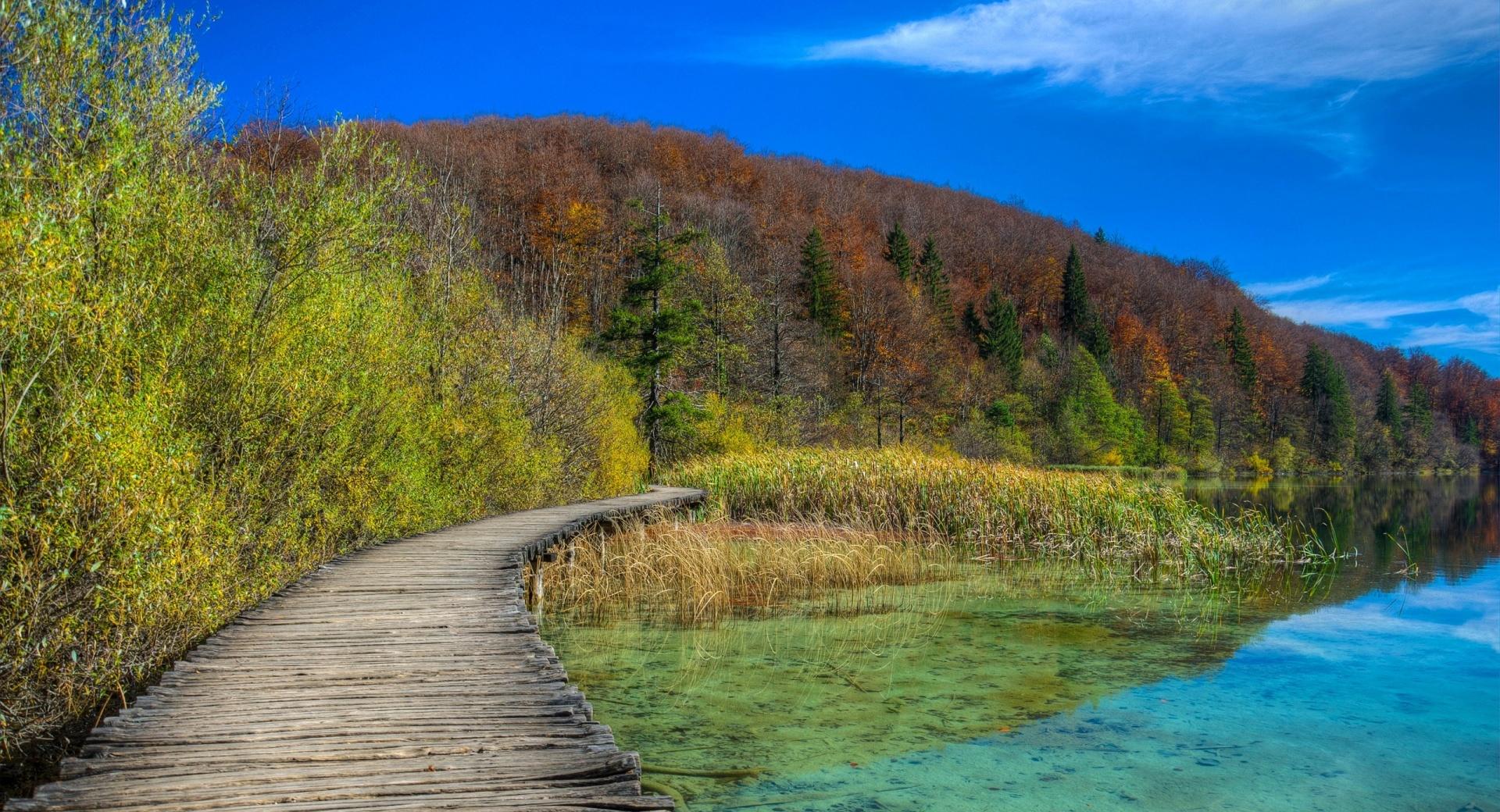 Wood Lake Path at 750 x 1334 iPhone 6 size wallpapers HD quality
