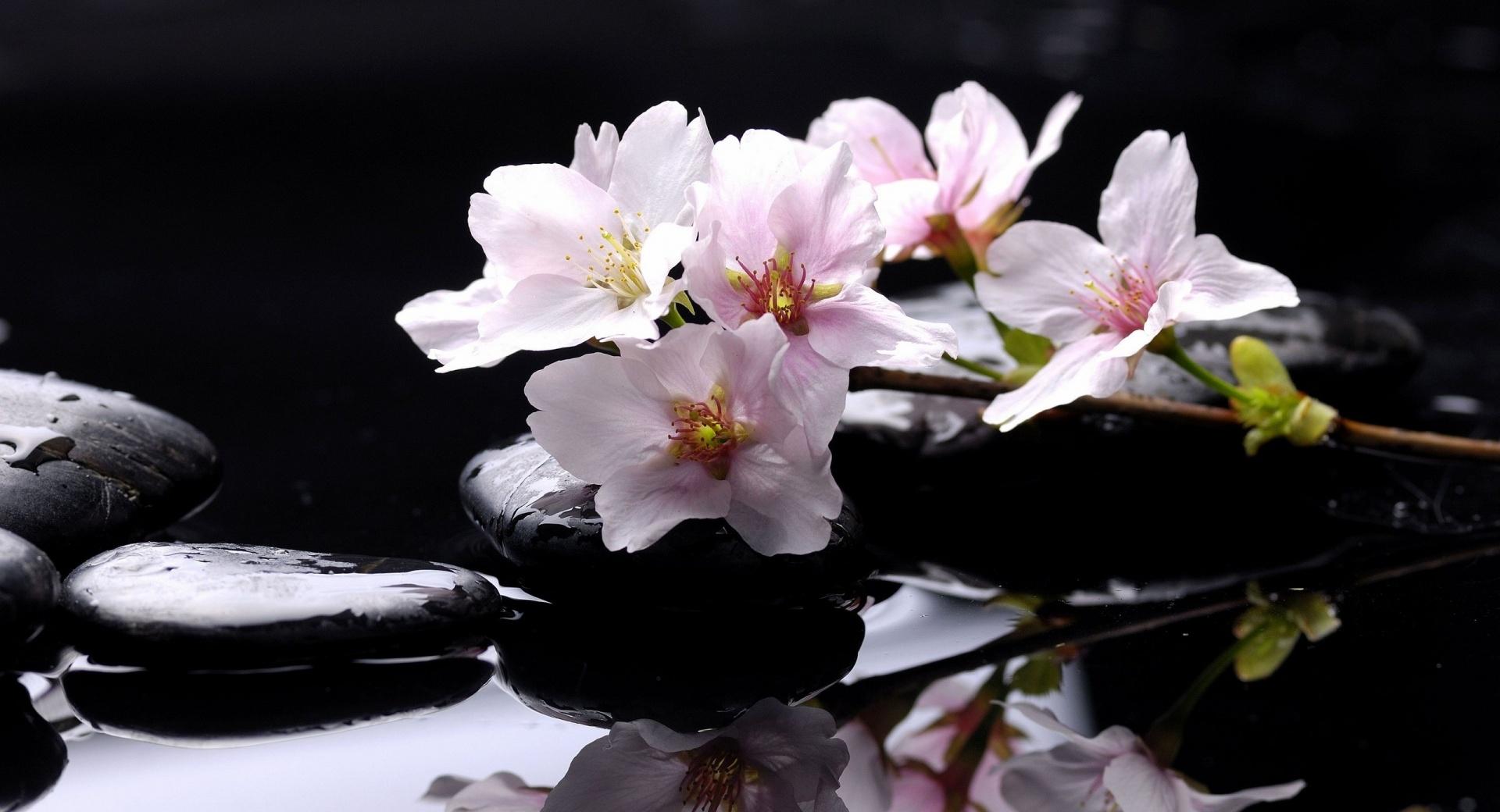 Zen Stones Background at 1280 x 960 size wallpapers HD quality