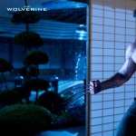 The Wolverine download wallpaper