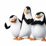 Penguins Of Madagascar images
