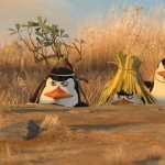 Penguins Of Madagascar full hd