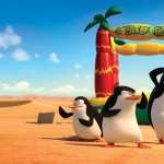 Penguins Of Madagascar wallpapers for desktop