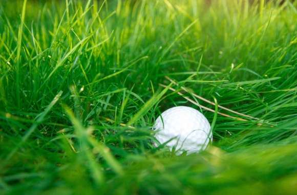 Golf Ball, Green Grass