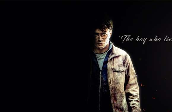 Harry Potter - The boy who lived