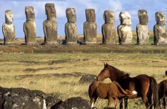 Horses Of Easter Island Chile