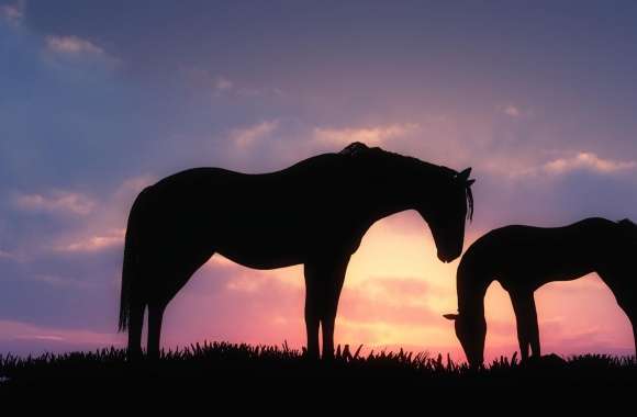 Horses Sunset Silhouette wallpapers hd quality