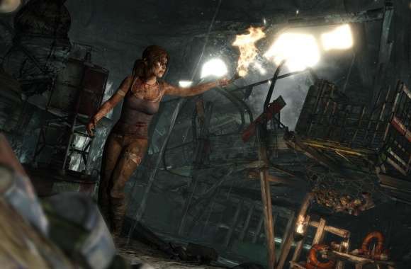 Lara Croft Survivor (2013)