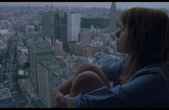 Lost In Translation wallpapers hd quality