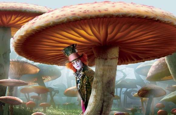Mad Hatter, Alice In Wonderland wallpapers hd quality