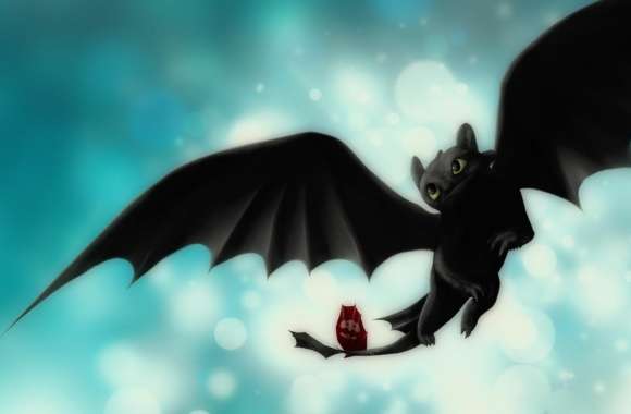 Night Fury Toothless wallpapers hd quality