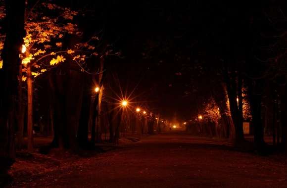 Park At Night wallpapers hd quality
