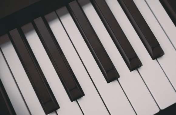 Piano Keyboards