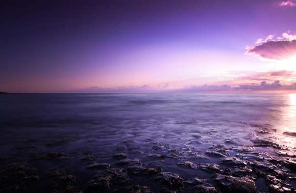 Purple Evening Sky